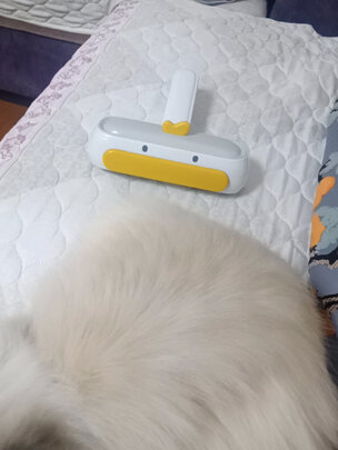 宠物吸毛器