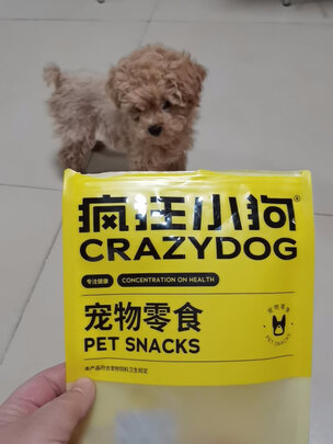 狗狗零食