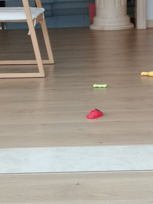 狗狗玩具