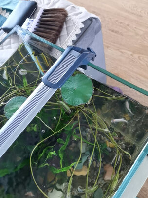 鱼缸灯led灯