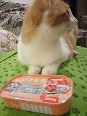 猫粮罐头