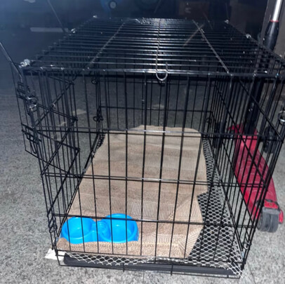  狗笼