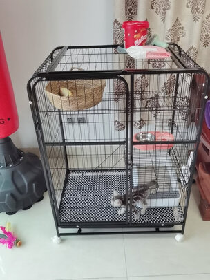猫笼