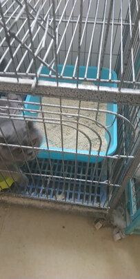 膨润土猫砂