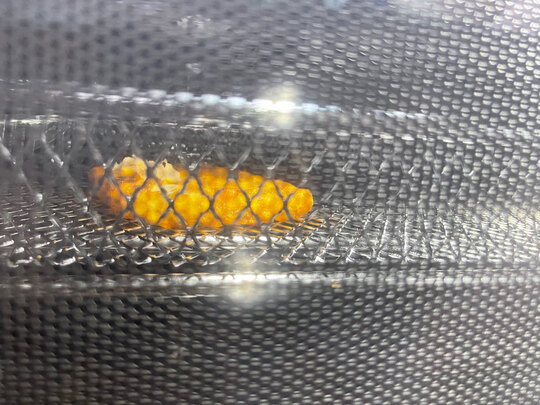 美的D5蒸烤箱|美的D5蒸烤箱真实使用感受？真相必看