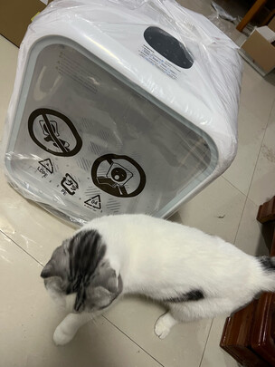 宠物烘干箱