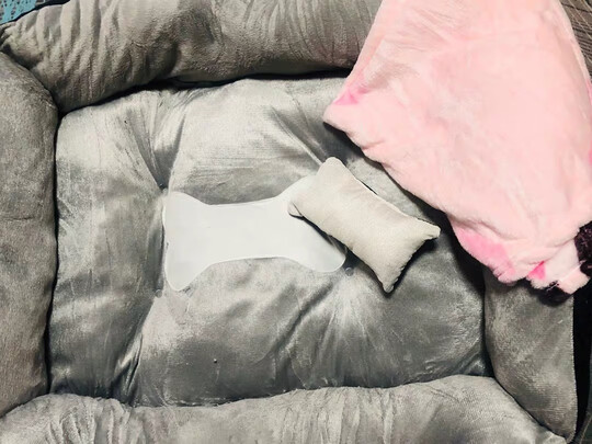 猫窝