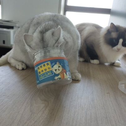 猫零食