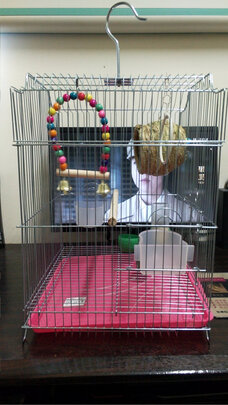 鸟笼