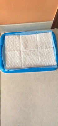 狗厕所