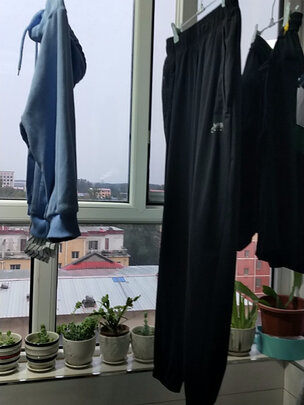 运动裤