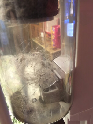吸尘器|用户揭秘德尔玛吸尘器好吗,入手解密评测真相