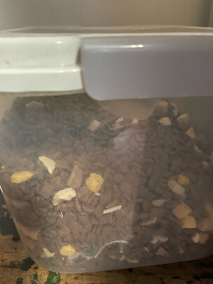 猫粮