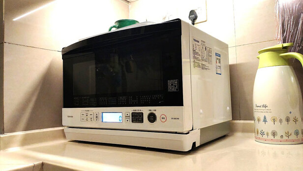 东芝ER-S60CNW蒸烤箱|知乎问答：东芝微波炉烤箱一体机好不好？讲一讲体验真相？