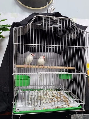 鸟笼
