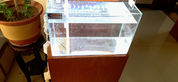鱼缸灯led灯