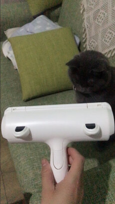 宠物吸毛器