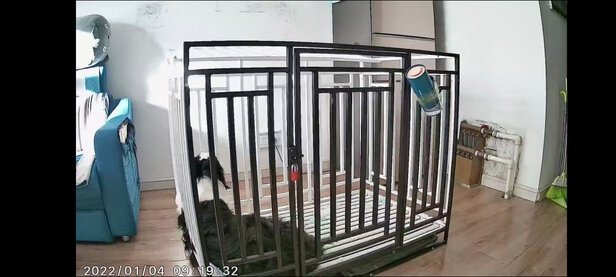 宠物饮水机