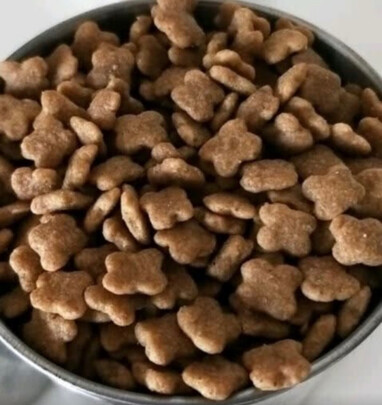 狗粮
