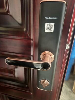 凯迪仕S110-V智能门锁|参考剖析凯迪仕S110-V智能门锁怎么样?深度测评剖析