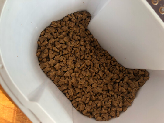 狗粮