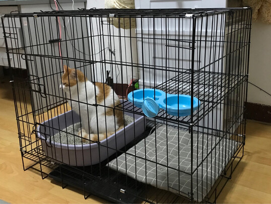 猫笼
