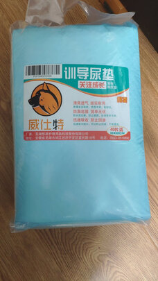 宠物纸尿裤