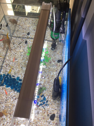 鱼缸水草灯
