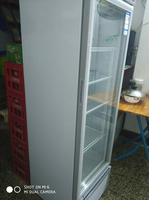 冰柜|澳柯玛SC-237冰柜怎么样评测分析结果告知！