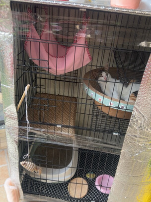  猫笼
