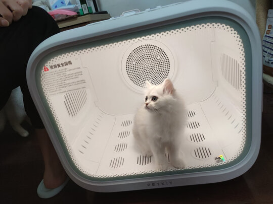  宠物烘干箱