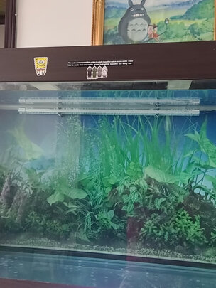 鱼缸灯led灯