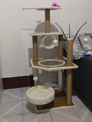 猫爬架