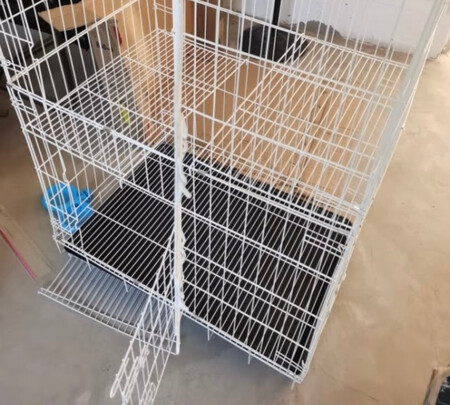 猫笼