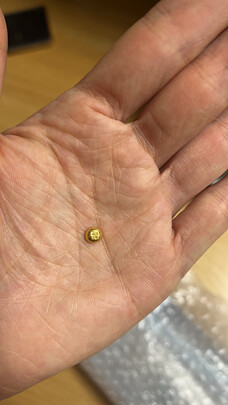 黄金豆豆