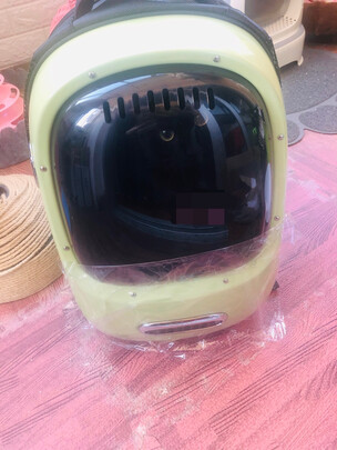 宠物航空箱