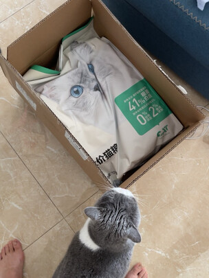 猫粮