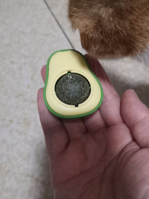 猫玩具
