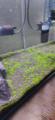 水草泥