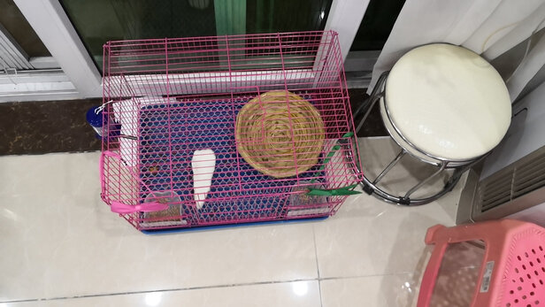 兔笼子