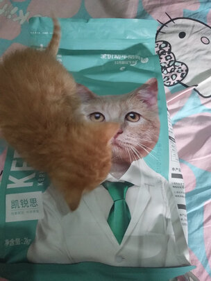 猫粮