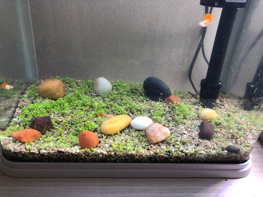 鱼缸底沙
