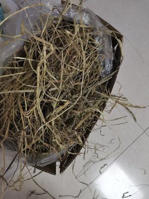 兔粮提摩西草