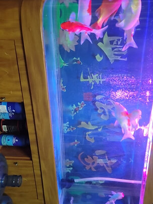鱼缸硝化细菌