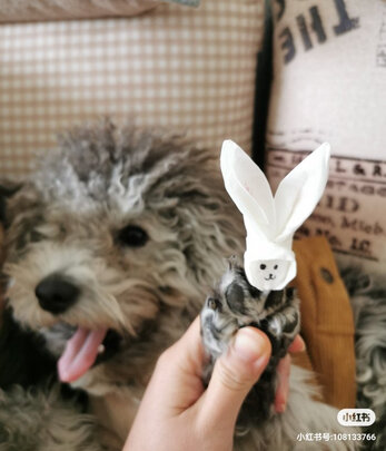 狗狗剃毛器