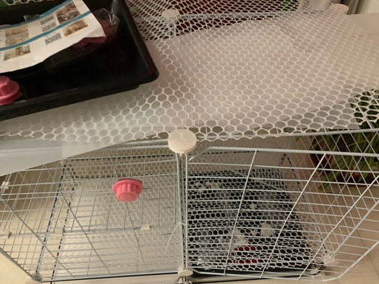 兔笼子