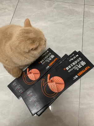猫粮罐头