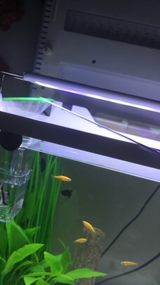 鱼缸灯led灯