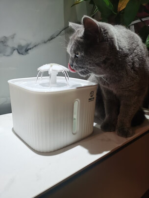 宠物饮水机