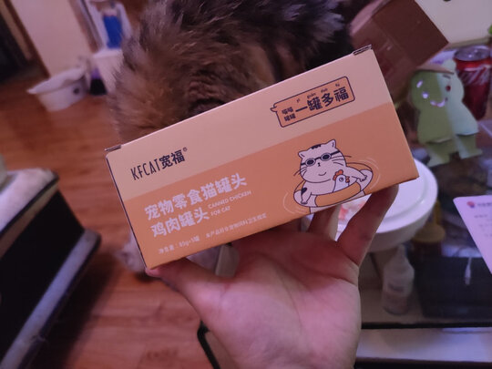 猫罐头